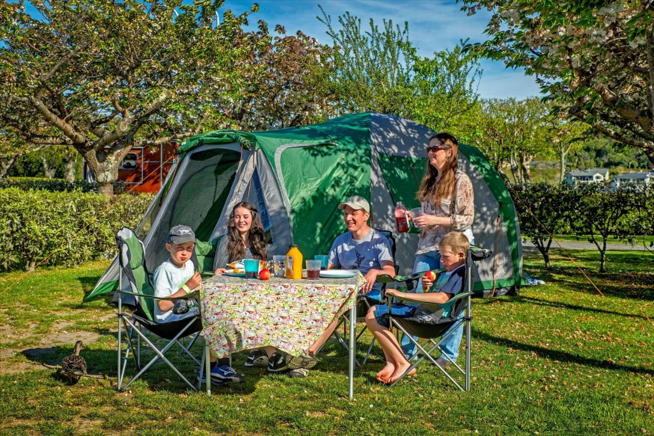 陶波德布雷思汽车旅馆酒店 外观 照片 The photo shows a group of five people enjoying a picnic outside a green tent in a park-like setting. They are seated around a table covered with a floral tablecloth, which has various food and drink items on it. The group includes two adults and thr